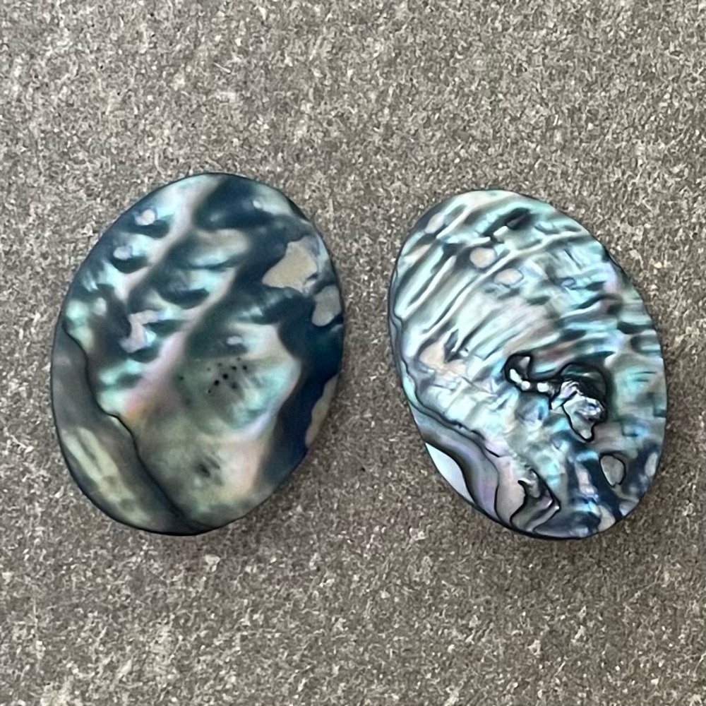 Dreamy Abalone Shell Earrings